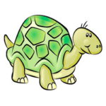 Интересные сведения о черепах